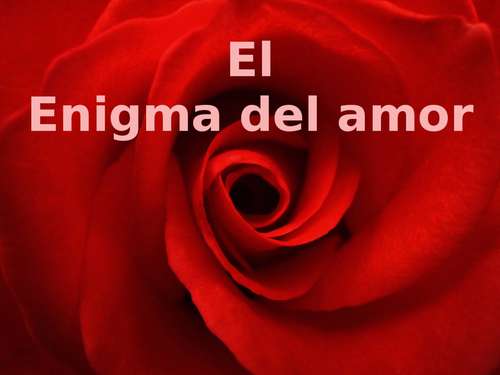 Book cover of El enigma del amor