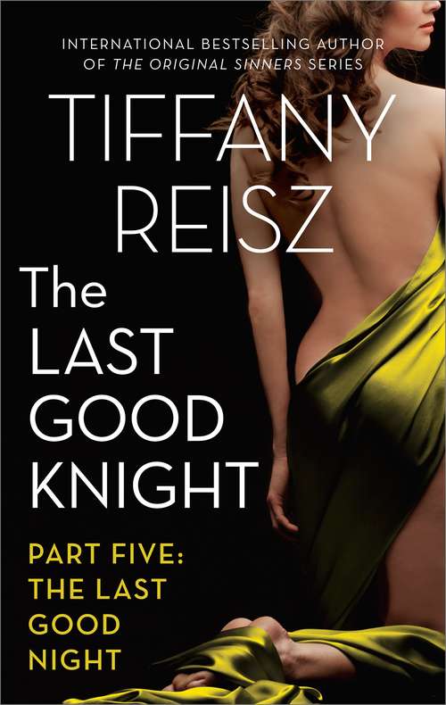 Book cover of The Last Good Knight Part V: The Last Good Night