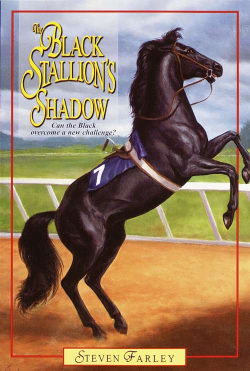 Book cover of Black Stallion's Shadow