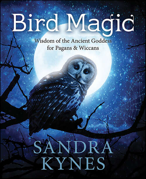 Book cover of Bird Magic: Wisdom of the Ancient Goddess for Pagans & Wiccans