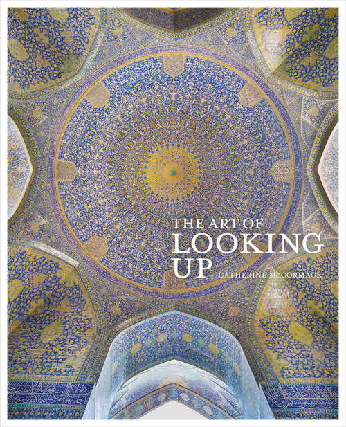 Book cover of The Art of Looking Up