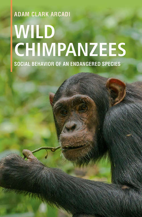 Book cover of Wild Chimpanzees: Social Behavior of an Endangered Species