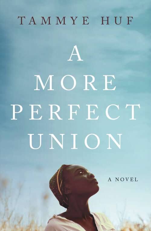 Book cover of A More Perfect Union
