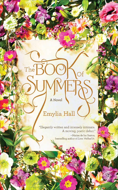 Book cover of The Book of Summers