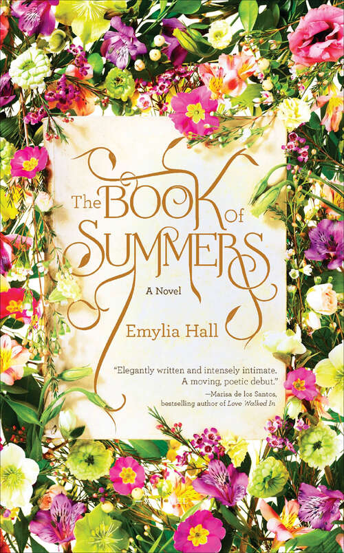 Book cover of The Book of Summers: A Novel