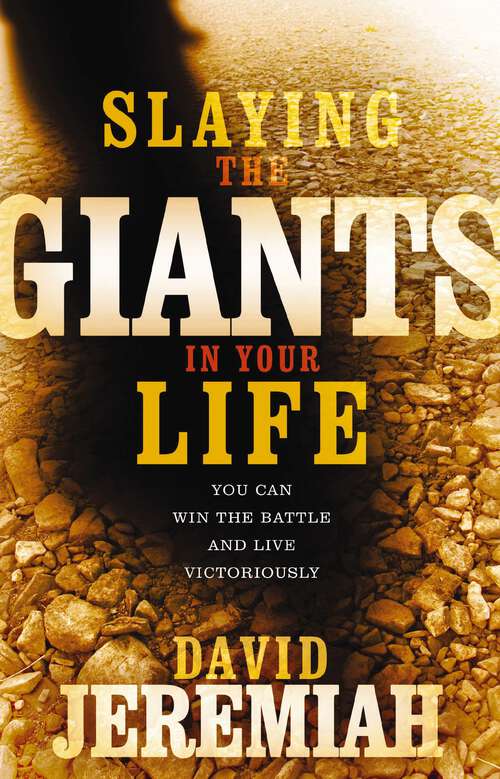 Book cover of Slaying the Giants in Your Life