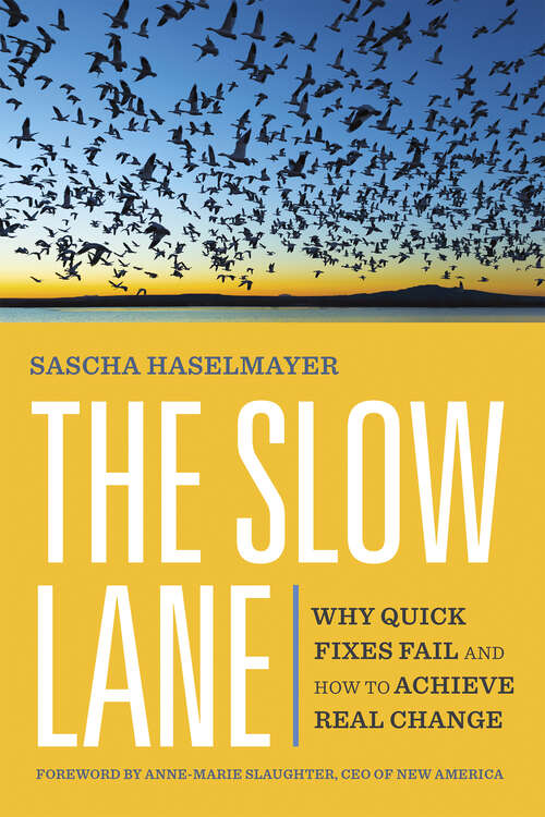 Book cover of The Slow Lane: Why Quick Fixes Fail and How to Achieve Real Change (1)