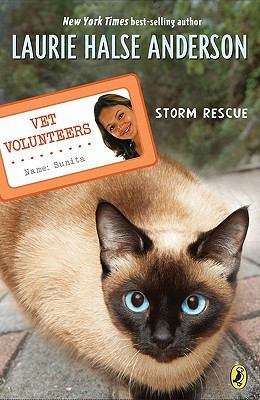 Book cover of Storm Rescue #6