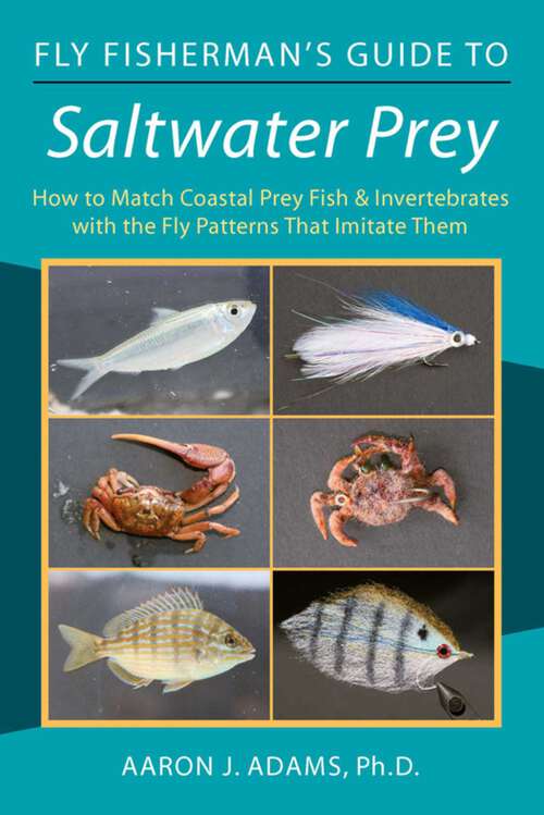 Book cover of Fly Fisherman's Guide to Saltwater Prey