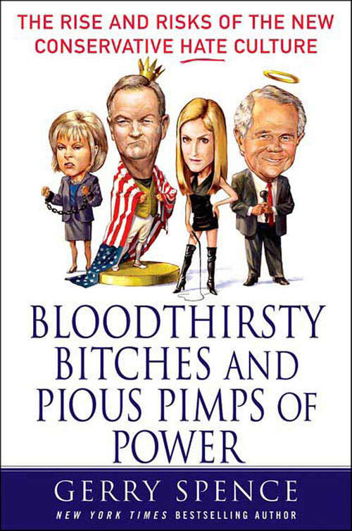Book cover of Bloodthirsty Bitches and Pious Pimps of Power: The Rise and Risks of the New Conservative Hate Culture