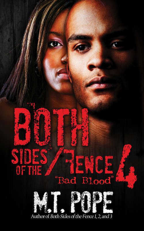 Book cover of Both Sides of the Fence 4: Bad Blood