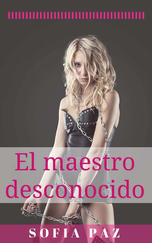 Book cover of El maestro desconocido