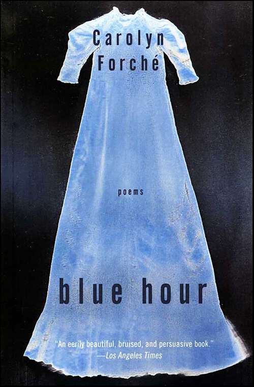 Book cover of Blue Hour: Poems