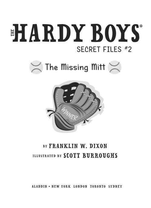 Book cover of The Missing Mitt