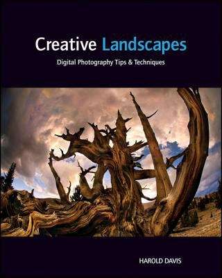 Book cover of Creative Landscapes