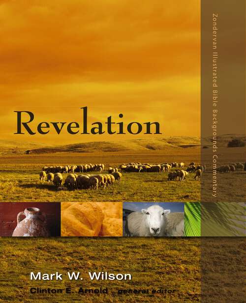 Book cover of Revelation (Zondervan Illustrated Bible Backgrounds Commentary)