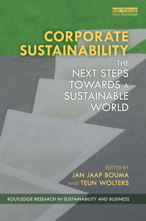 Corporate Sustainability: The Next Steps Towards a Sustainable World (Routledge Research in Sustainability and Business)