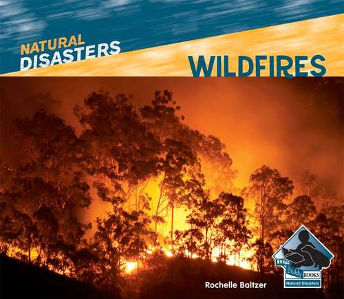 Book cover of Wildfires (Natural Disasters)