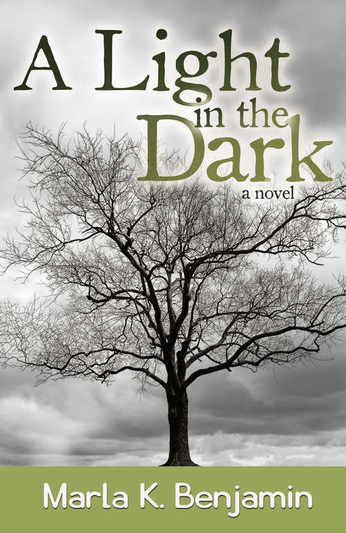 Book cover of A Light in the Dark: A Novel