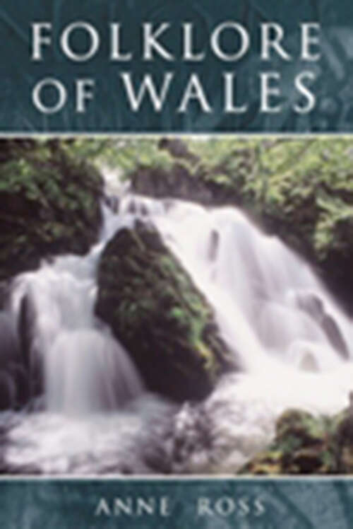 Book cover of Folklore of Wales (Folklore of)