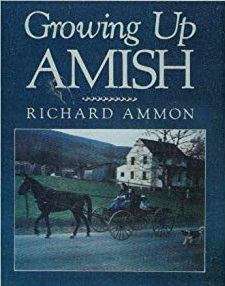 Book cover of Growing Up Amish