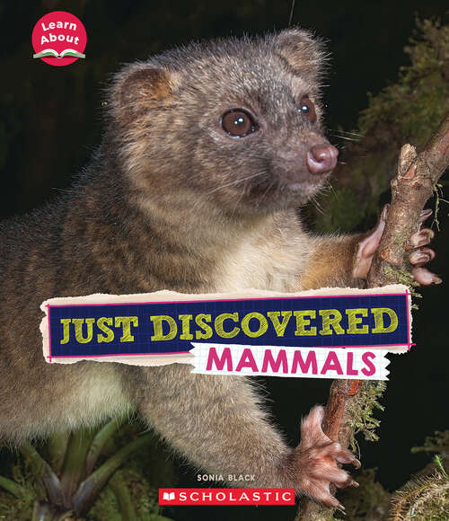 Book cover of Just Discovered Mammals (Learn About)