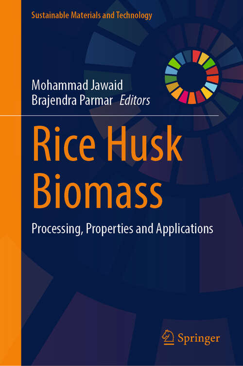 Book cover of Rice Husk Biomass: Processing, Properties and Applications (Sustainable Materials and Technology)