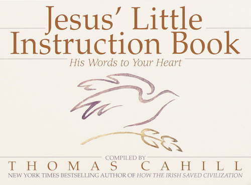 Book cover of Jesus' Little Instruction Book
