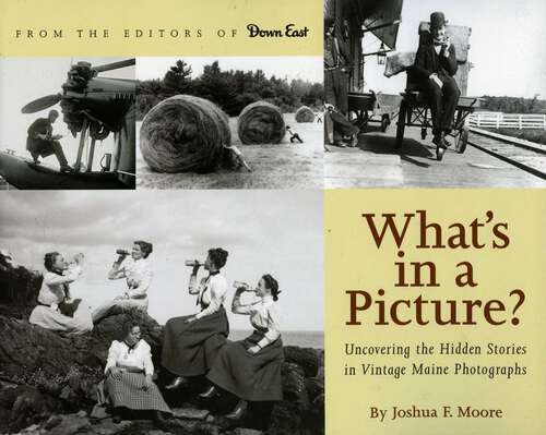 Book cover of What's in a Picture?: Broiler Queens, Floating House and Other Hidden Stories in Vintage Maine Photography