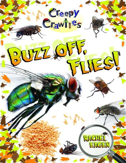 Book cover of Buzz Off, Flies! (Creepy Crawlies Ser.)