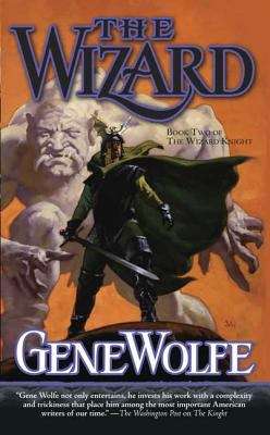 Book cover of The Wizard (The Wizard Knight, Book #2)