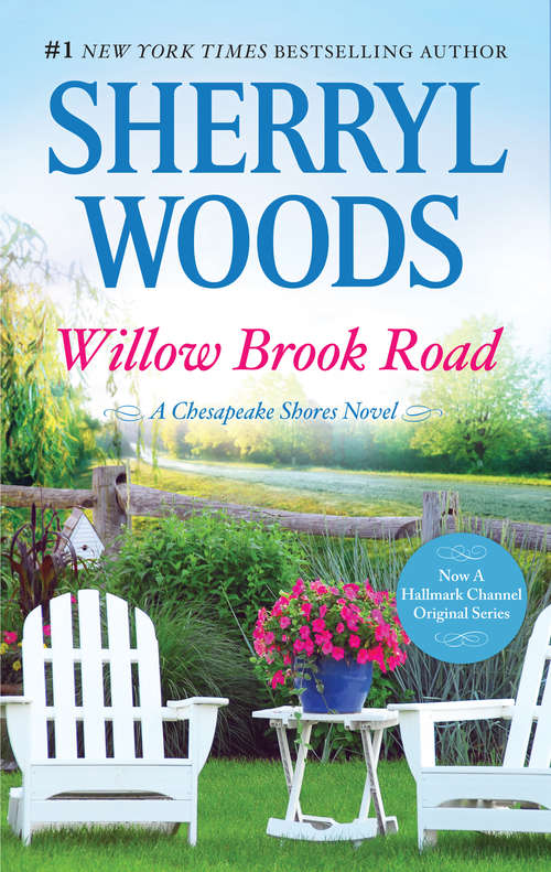 Book cover of Willow Brook Road