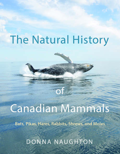 Book cover of The Natural History of Canadian Mammals: Pikas, Hares, Rabbits,  Shrews,  Moles, and Bats