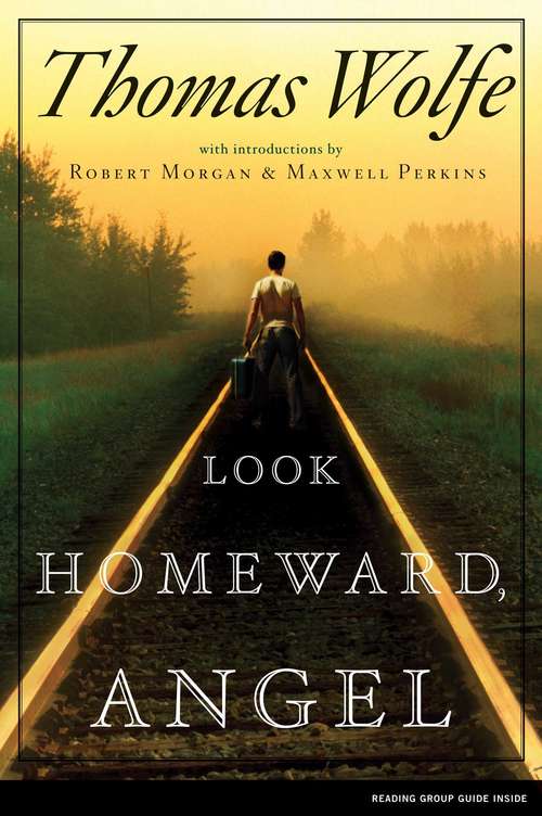 Book cover of Look Homeward, Angel