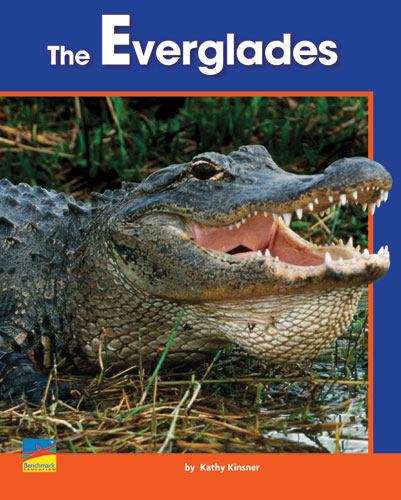 Book cover of The Everglades