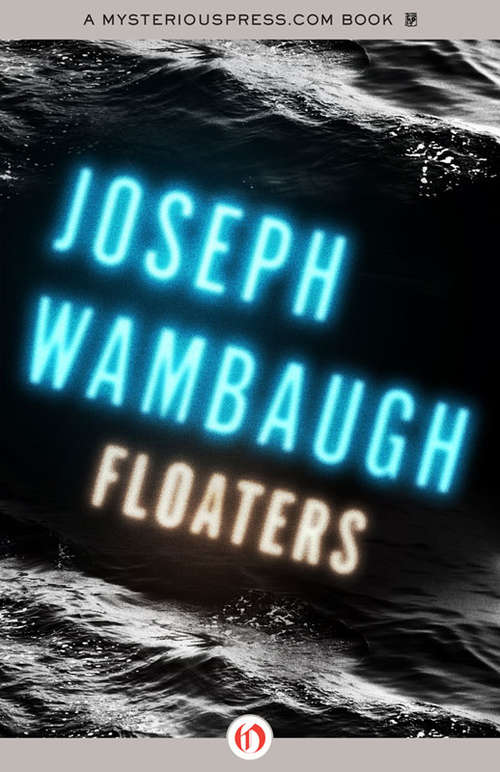 Book cover of Floaters