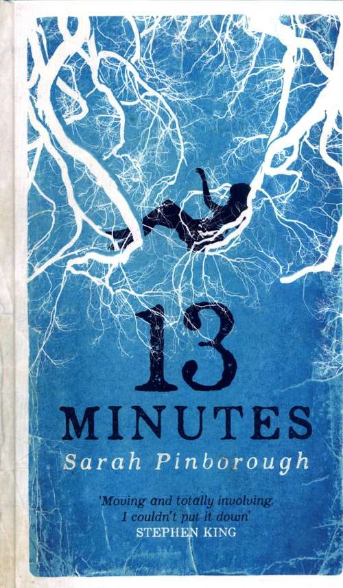 Book cover of 13 Minutes