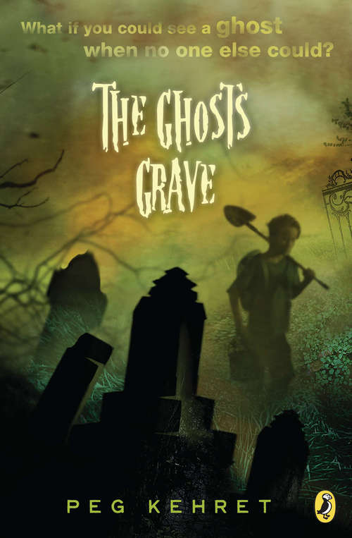 Book cover of The Ghost's Grave