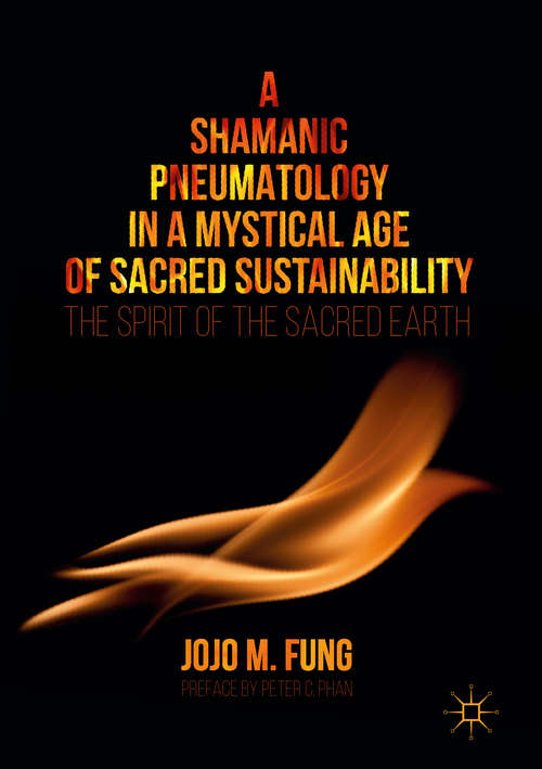 Book cover of A Shamanic Pneumatology in a Mystical Age of Sacred Sustainability: The Spirit of the Sacred Earth (1st ed. 2017)