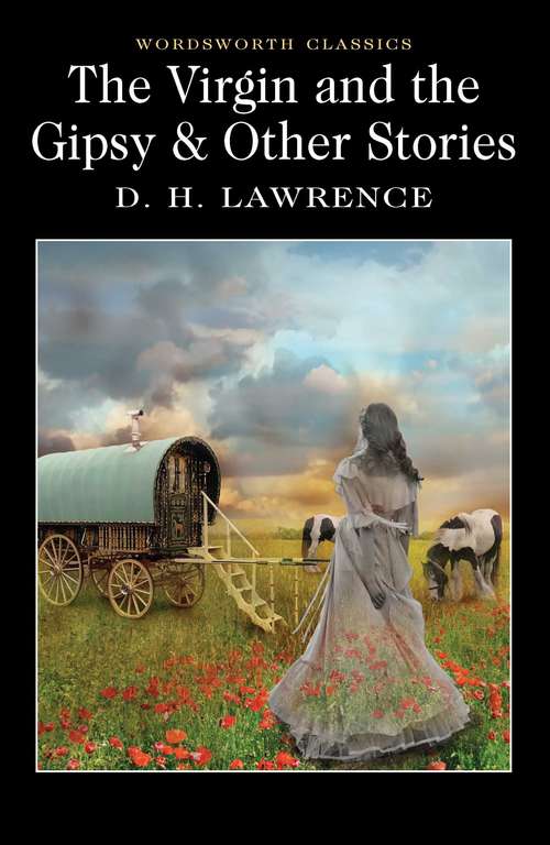 Book cover of The Virgin and the Gipsy, and Other Stories