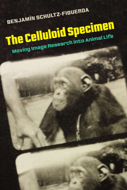 Book cover of The Celluloid Specimen: Moving Image Research into Animal Life