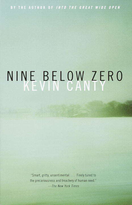 Book cover of Nine Below Zero