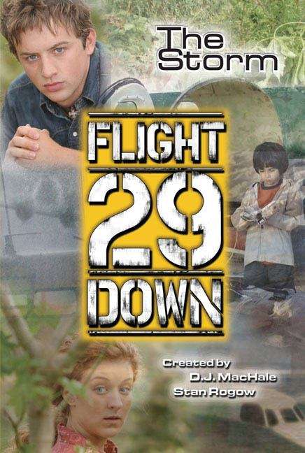 Book cover of The Storm  (Flight 29 Down)
