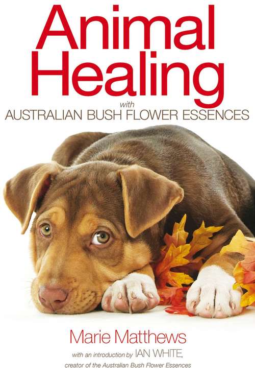 Book cover of Animal Healing with Australian Bush Flower Essences
