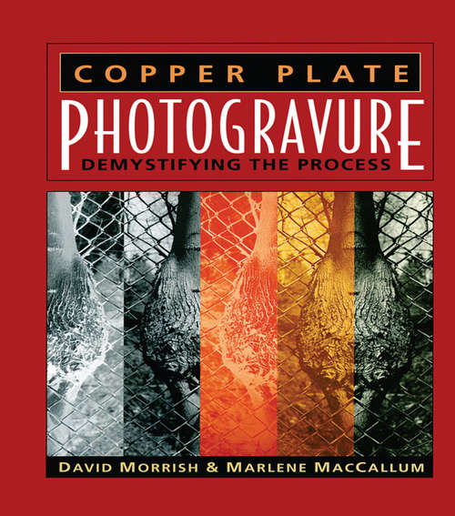 Copper Plate Photogravure: Demystifying the Process (Alternative Process Photography Ser.)