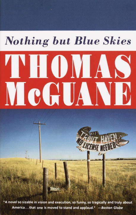 Book cover of Nothing but Blue Skies (Vintage Contemporaries)