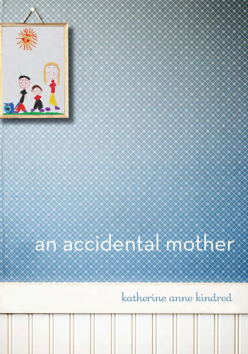 Book cover of An Accidental Mother