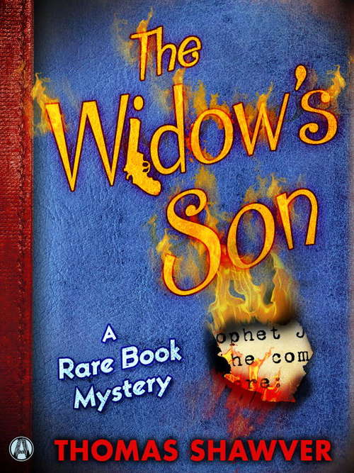 Book cover of The Widow's Son