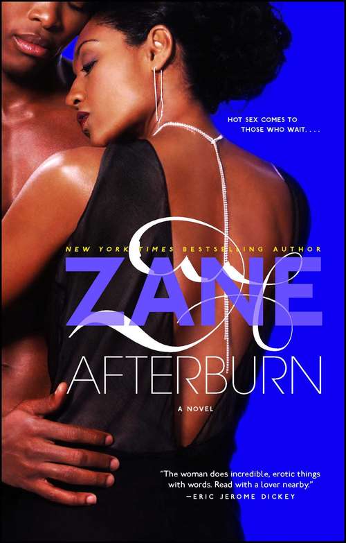 Book cover of Afterburn: A Novel