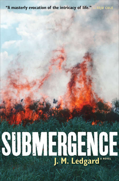 Book cover of Submergence